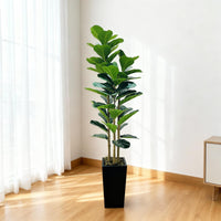 PHK_365G9MCT