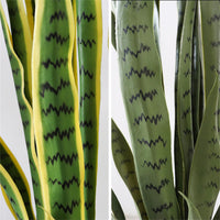 PHO_34N8YCF7