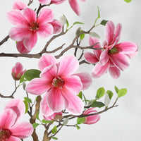 PHK_36RCMJ4T