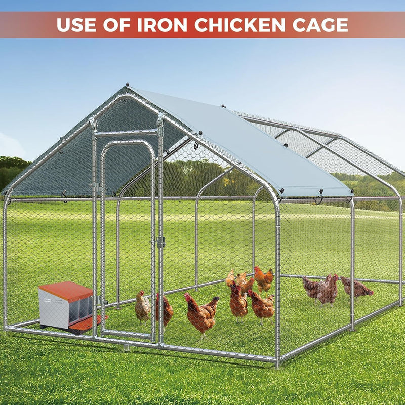 Galvanised steel three-compartment chicken nesting box