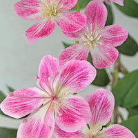 PHK_365AKQKP