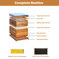 PPG_33BKKVAB