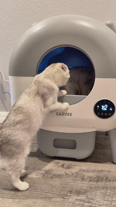 GARVEE Self Cleaning Cat Litter Tray, 76L Extra Large Automatic Litter Tray for Multi-Cats with App Control, Odour Freshener & Washable Box Keep Cat Litter Ever Clean