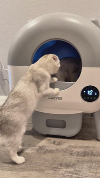 GARVEE Self Cleaning Cat Litter Tray, 76L Extra Large Automatic Litter Tray for Multi-Cats with App Control, Odour Freshener & Washable Box Keep Cat Litter Ever Clean
