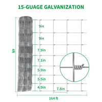 PPG_34WG2NNW